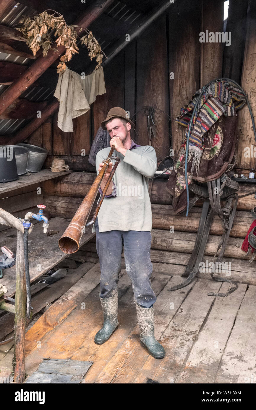 Maramures, Roumanie. Un berger jouant un tulnic ou dorbanti (également un trâmbiţa ou trembita), utilisé pour la communication avec d'autres bergers dans les hautes collines Banque D'Images