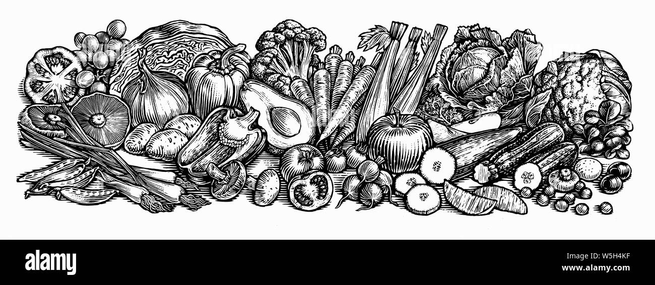 Le noir et blanc scraperboard gravure de beaucoup de fruits et légumes frais Banque D'Images