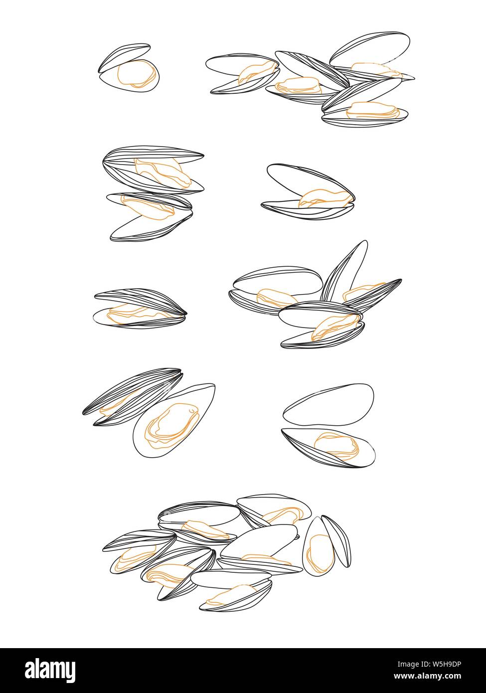Simple et détaillée les moules jeu de croquis sur blanc. Mollusques isolé avec son design simple largeur Illustration de Vecteur
