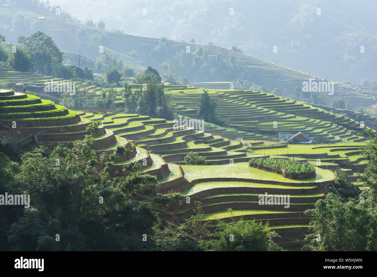Les rizières en terrasses de Sapa avec maisons en bois au coucher du soleil à Lao Cai Province, Vietnam. Banque D'Images