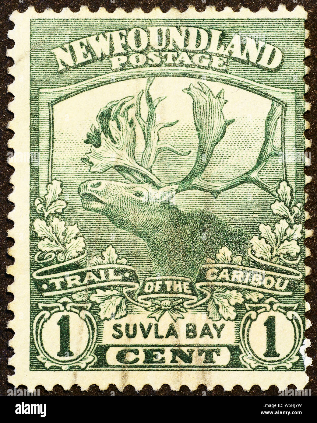 Le caribou des bois sur de très vieux timbres-poste de Terre-Neuve Banque D'Images