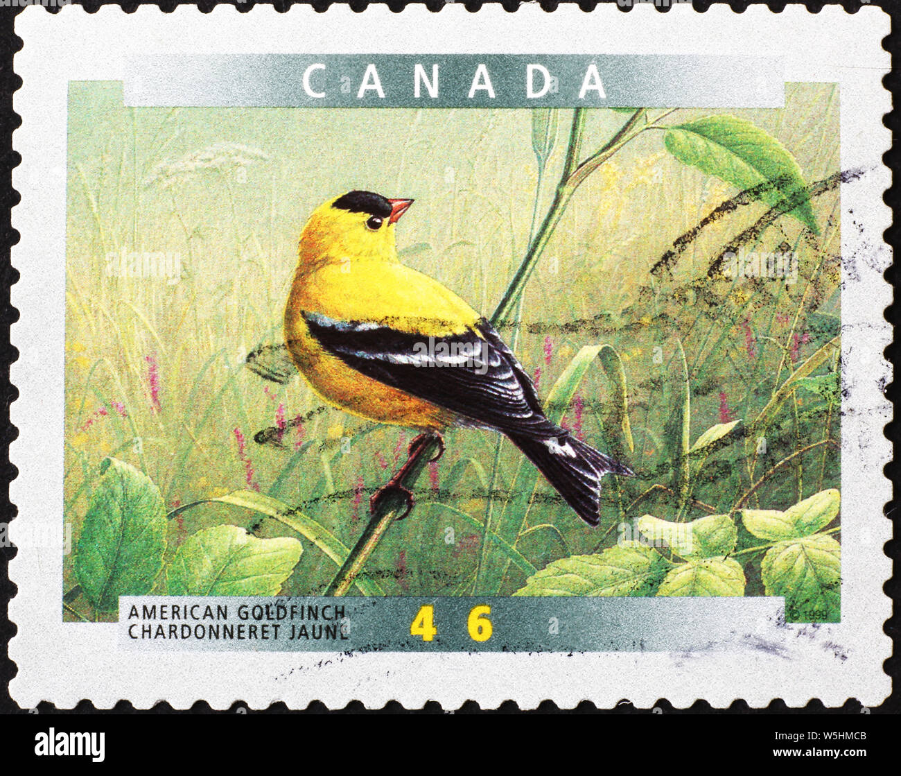 Chardonneret jaune sur timbre-poste canadien Banque D'Images
