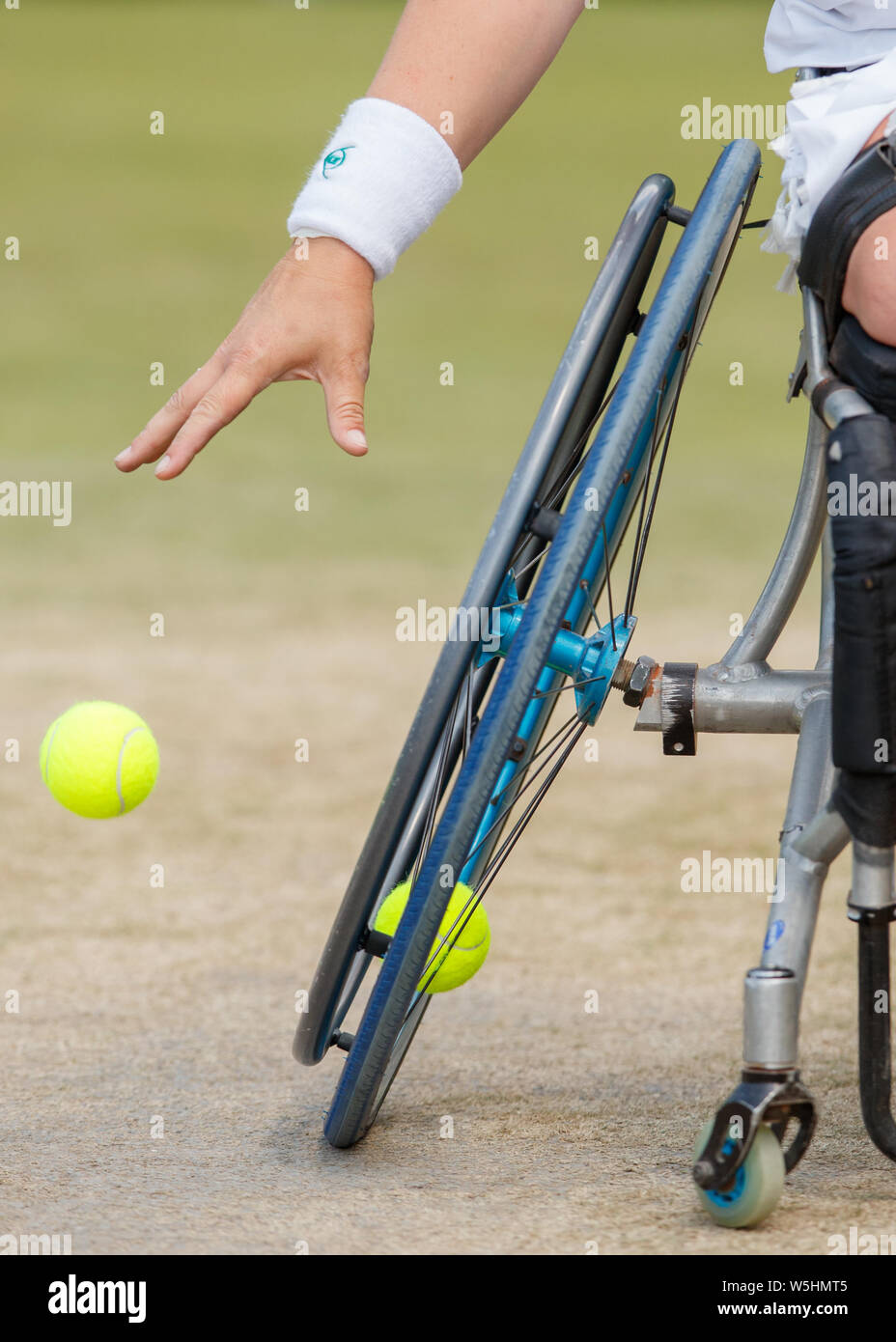 Détail de génériques au cours des championnats de tennis de Wimbledon , 2019. Tenue à l'All England Lawn Tennis Club, Wimbledon. Banque D'Images