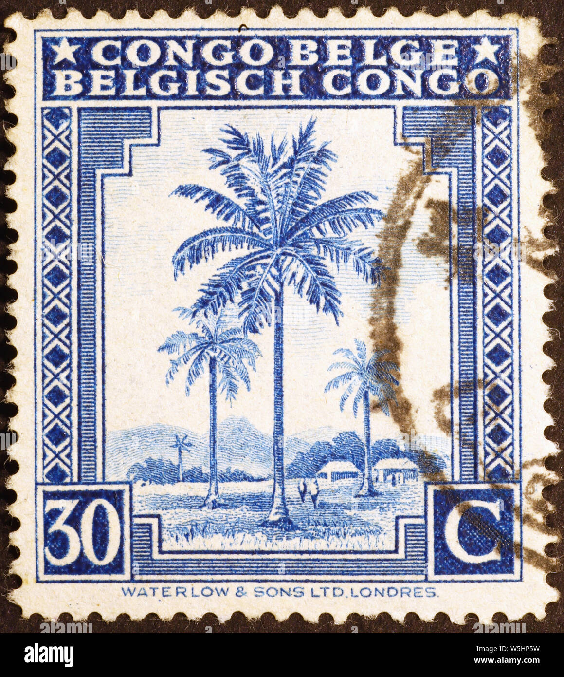 Palmier sur vieux timbres-poste du Congo Belge Banque D'Images
