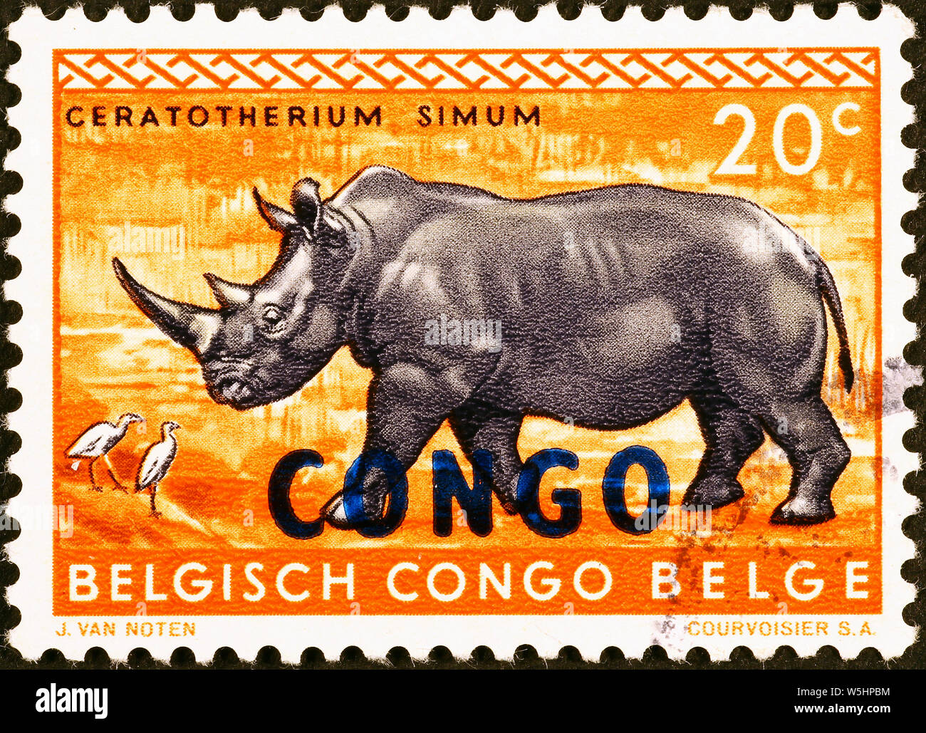 Rhinp noir sur de vieux timbres-poste du Congo Belge Banque D'Images