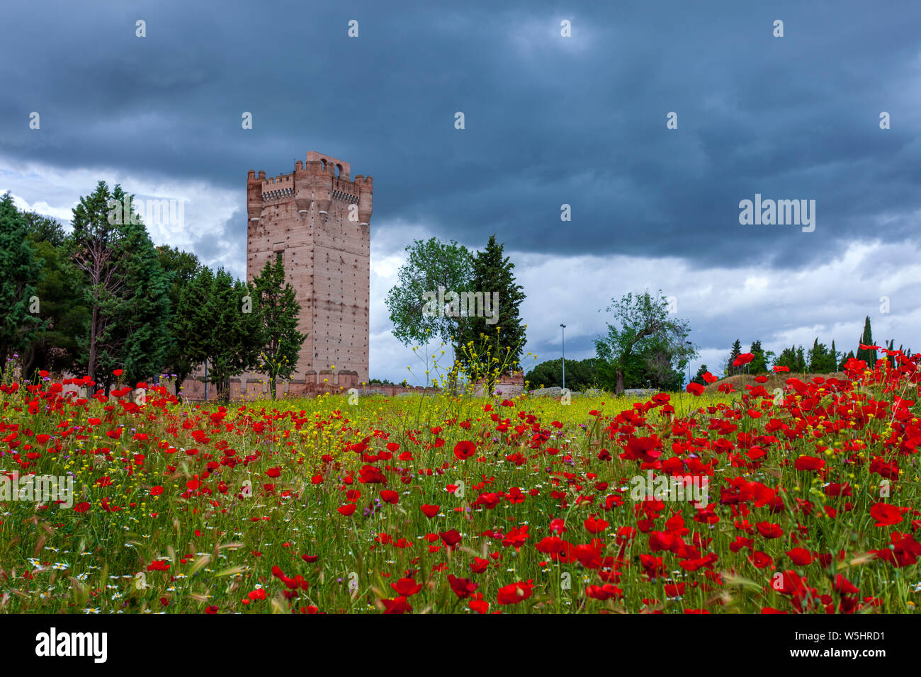 Castillo de la Mota, Medina del Campo, Castilla y León, Espagne Banque D'Images