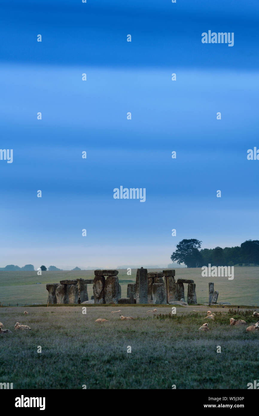 Menhirs de Stonehenge préhistoriques sur les champs agricoles avec des moutons sur les plaines de Salisbury, Wiltshire, Angleterre à la première lumière Banque D'Images