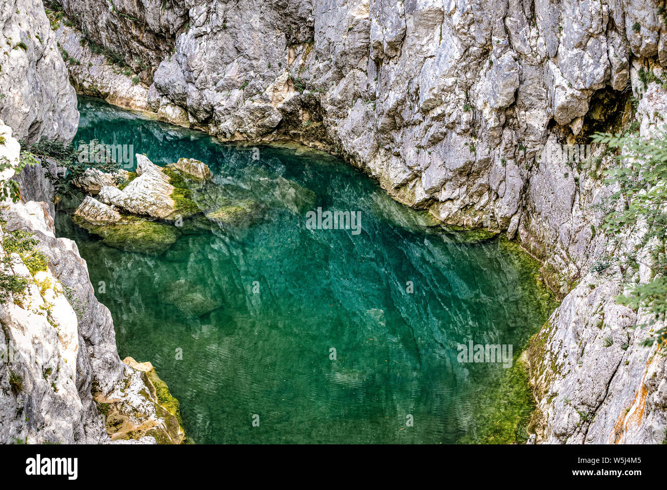 Italie Friuli Parc Naturel forraof le torrent Cellina Banque D'Images