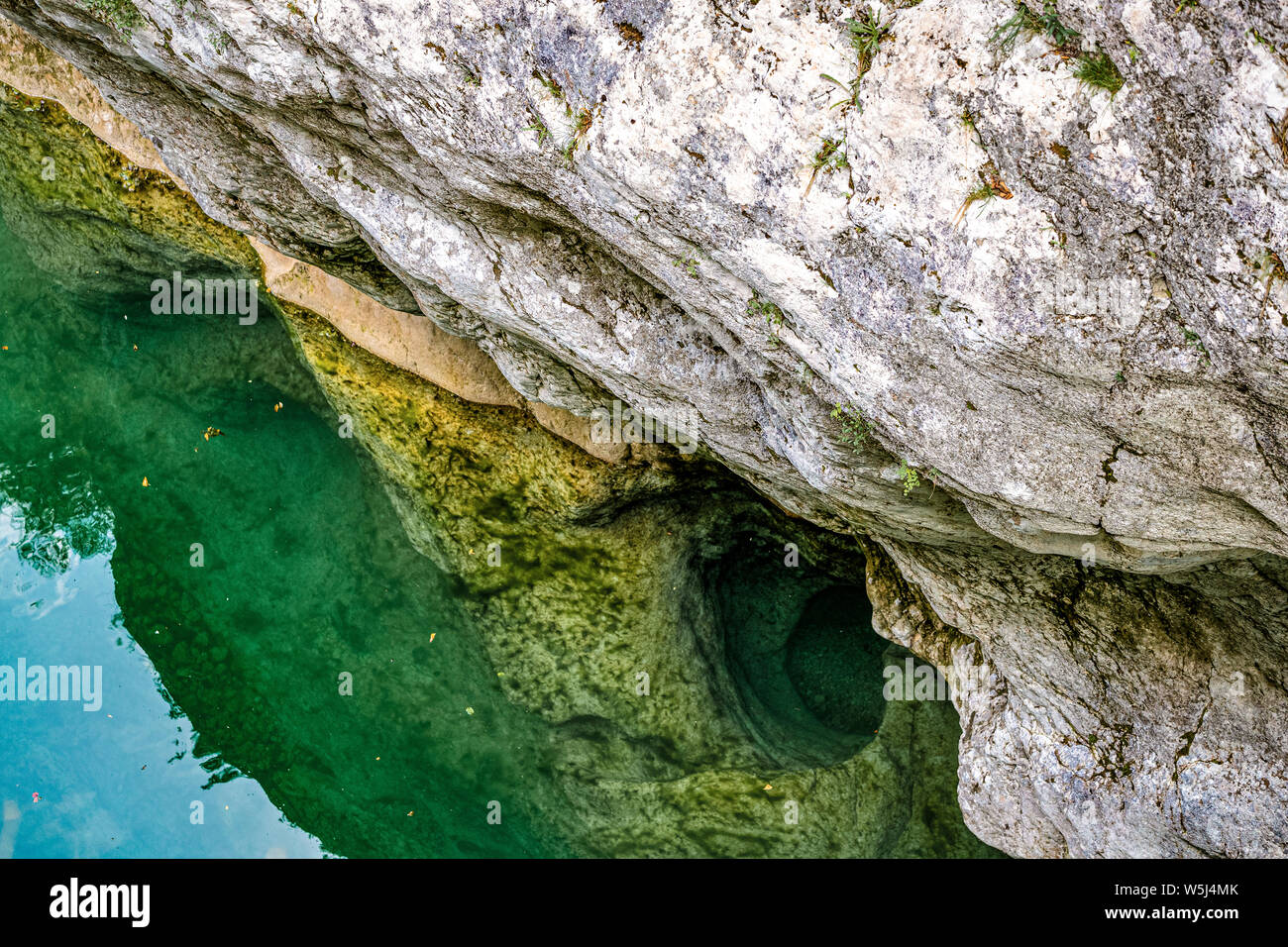 Italie Friuli Parc Naturel forraof le torrent Cellina Banque D'Images
