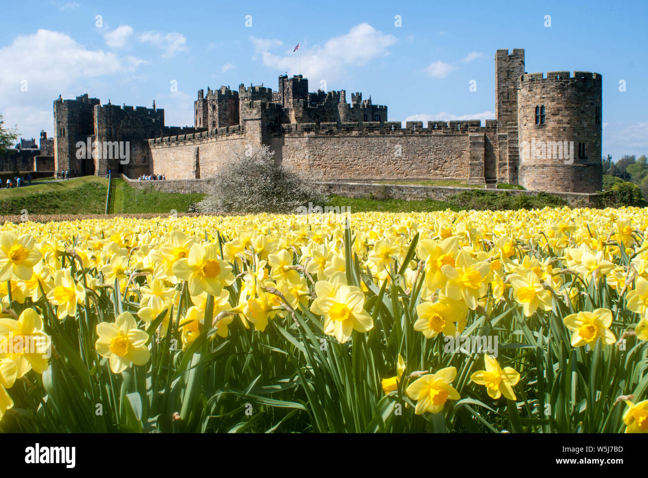 Château d’Alnwick Banque D'Images