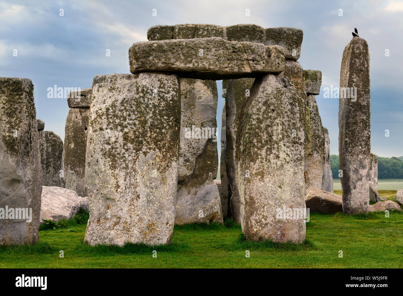 Tall menhirs de Stonehenge le cercle de pierre préhistorique ruines avec des oiseaux de la plaine de Salisbury dans le Wiltshire en Angleterre à la première lumière lever du soleil Banque D'Images