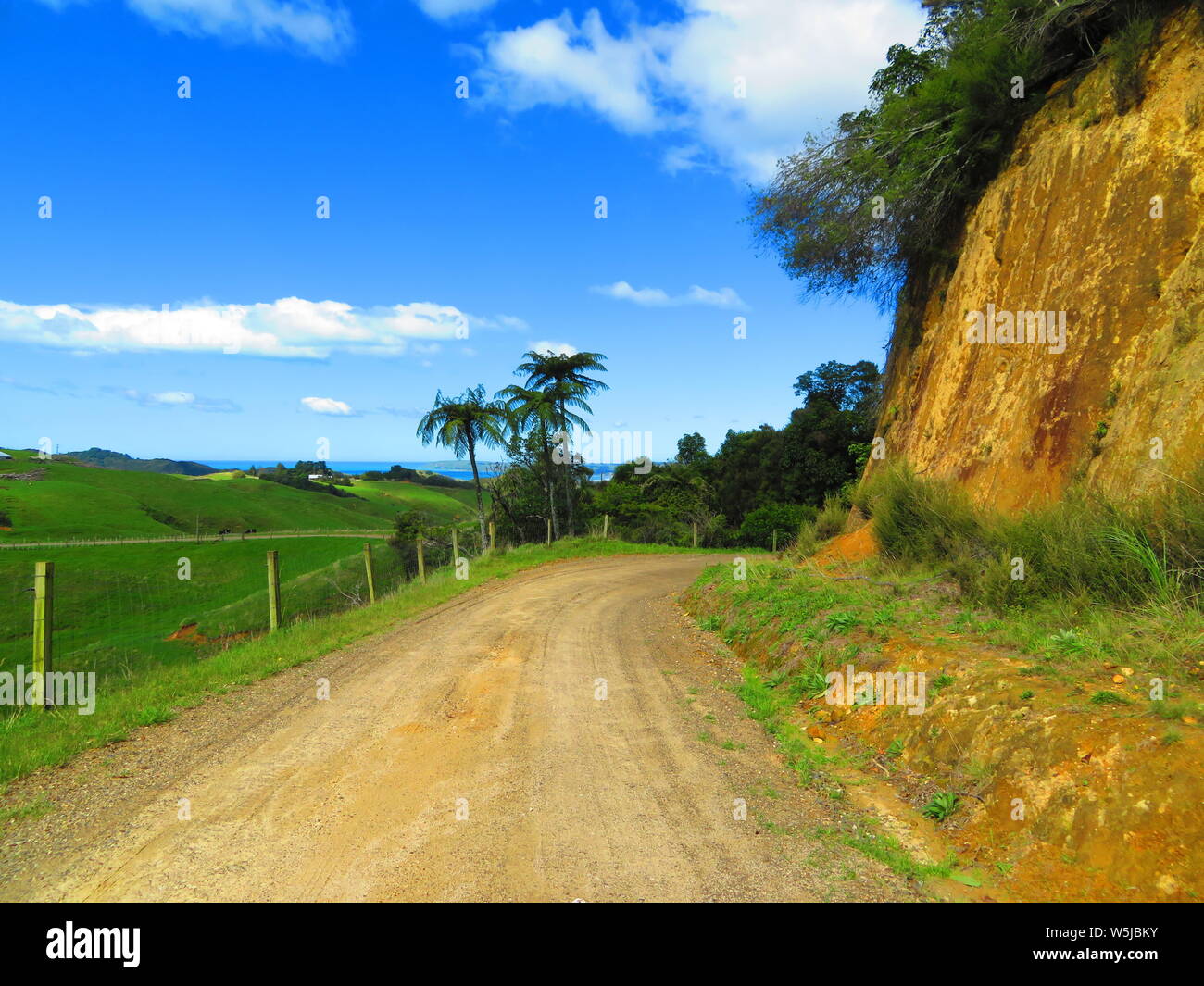 Chemin de terre à travers l'arrière-pays de la Nouvelle-Zélande Banque D'Images