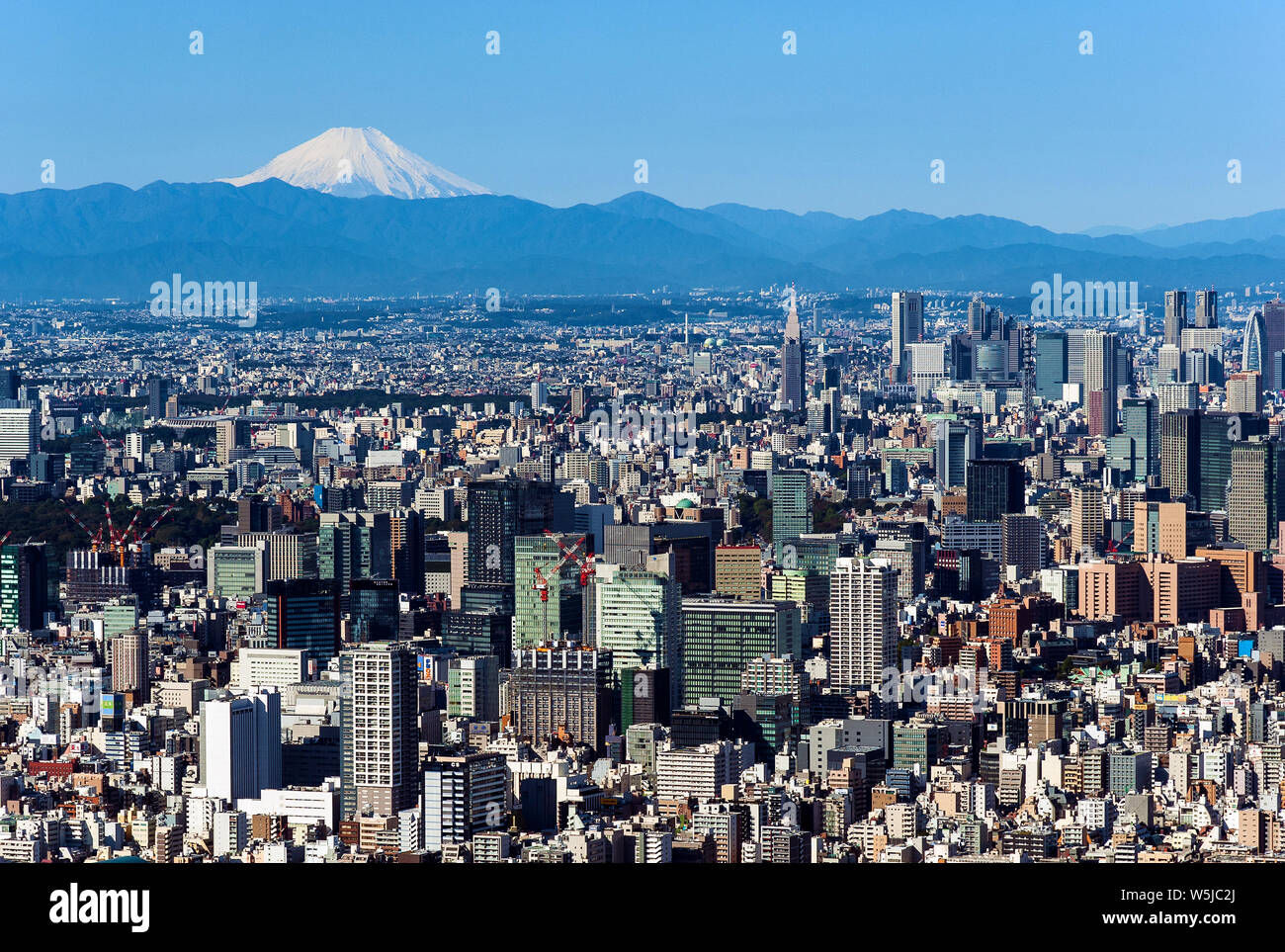 Mt. Toits de Tokyo Fuji Japon Cityscape Banque D'Images