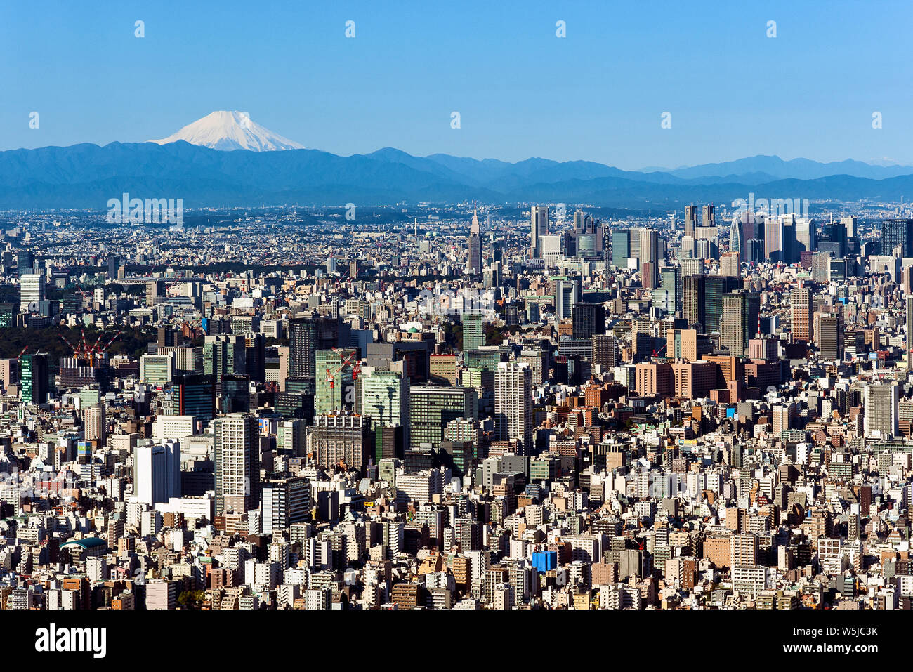 Mt. Toits de Tokyo Fuji Japon Cityscape Banque D'Images