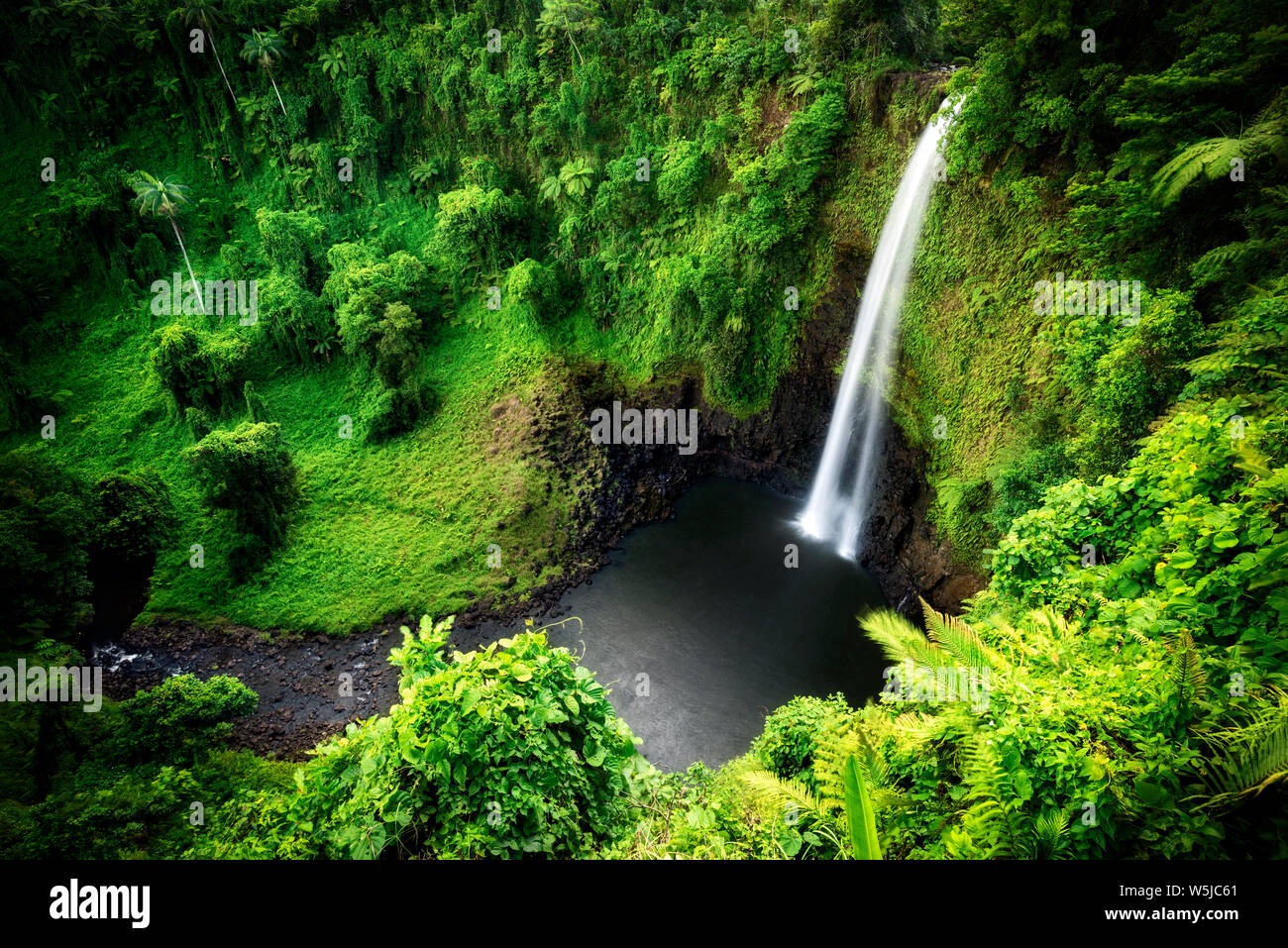 Fuipisia falls, le Samoa occidental. Banque D'Images