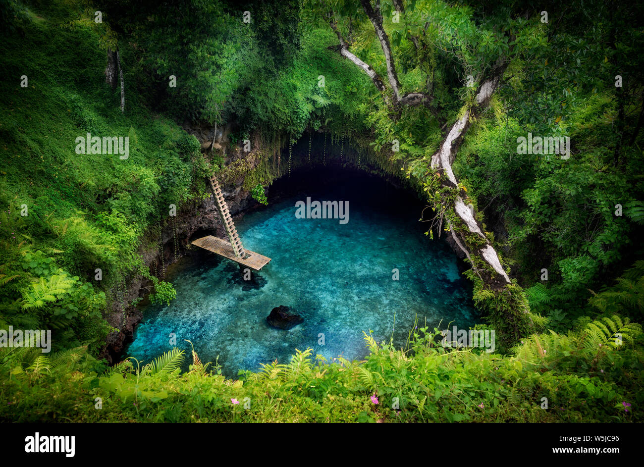 De l'océan Sua tranchée. Trou de natation au paradis, Western Samoa Banque D'Images