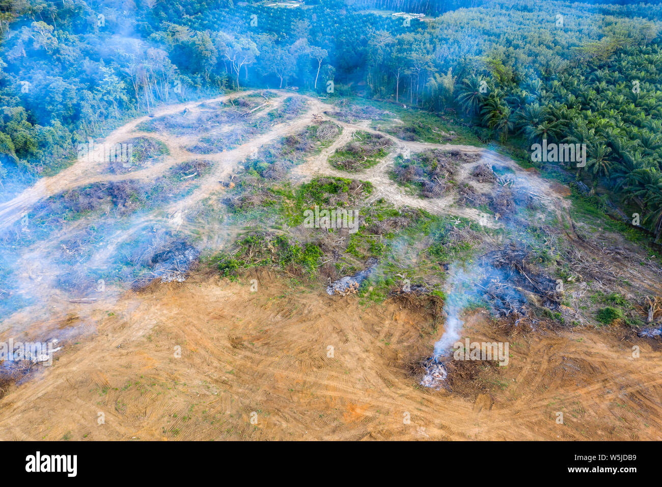 Vue aérienne de la déforestation. Rainforest supprimée pour faire place à des plantations de caoutchouc et d'huile de palme Banque D'Images