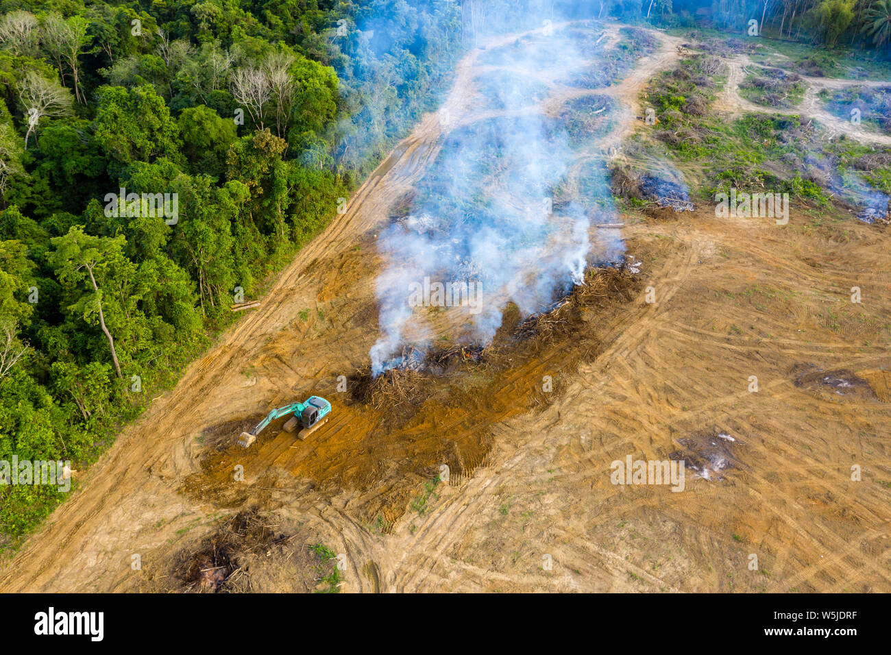 De haut en bas Vue aérienne de la déforestation - jungle être démontés et brûlés pour faire place aux plantations en Thaïlande Banque D'Images