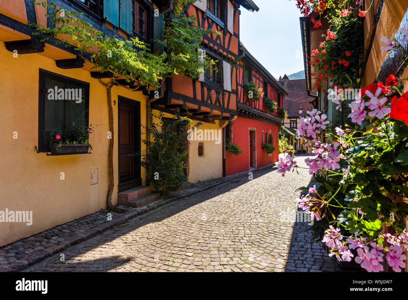 Voie pittoresque coloré dans la vieille ville de Kaysersberg, Alsace, France, maisons à colombages avec décoration florale Banque D'Images