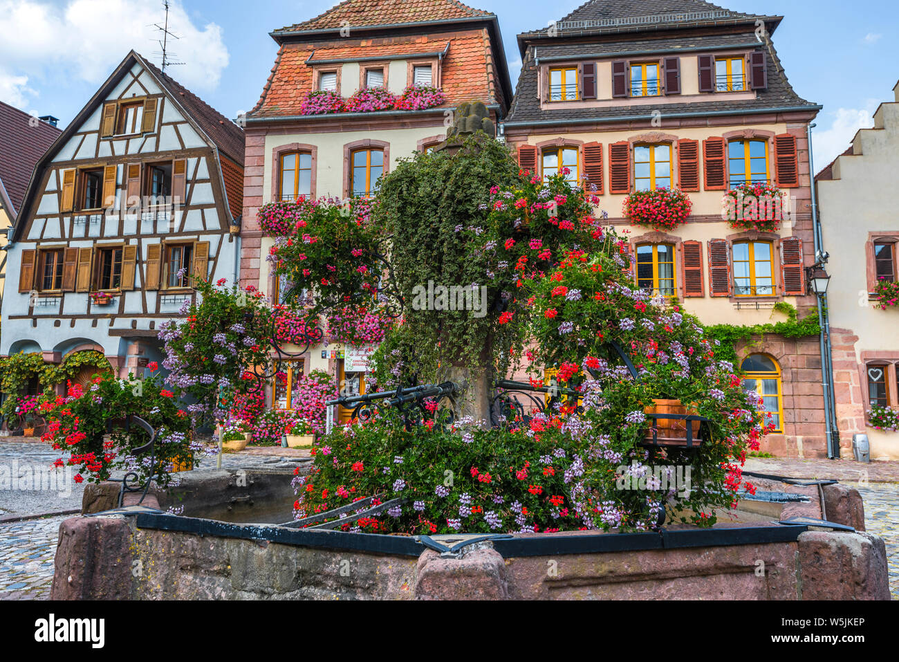 Village Bergheim, Alsace, France, les vieux puits fleuri en face de maisons à pans de bois Banque D'Images