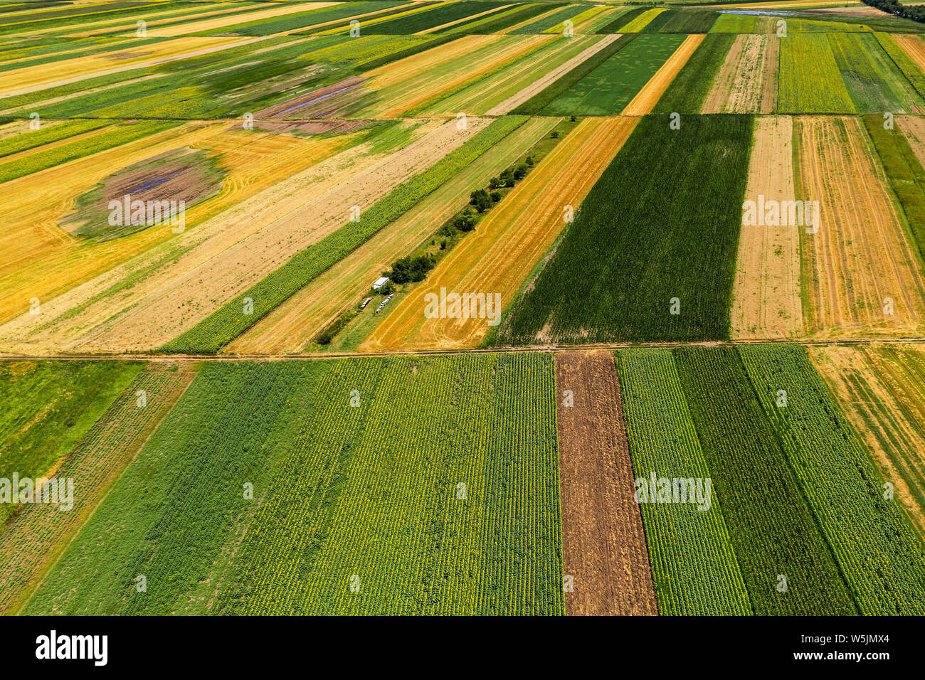 Vue aérienne de champs agricoles cultivées en été, la belle campagne  paysage patchwork de drone pov Photo Stock - Alamy