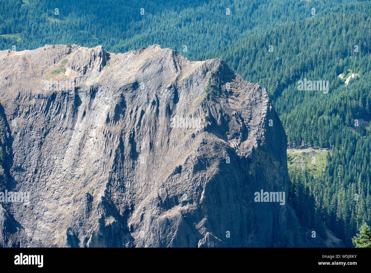 Monolithe de roche ignée intrusive --1200 pieds de haut Wolf Rock dans l'ouest de l'Oregon Cascades, USA Banque D'Images