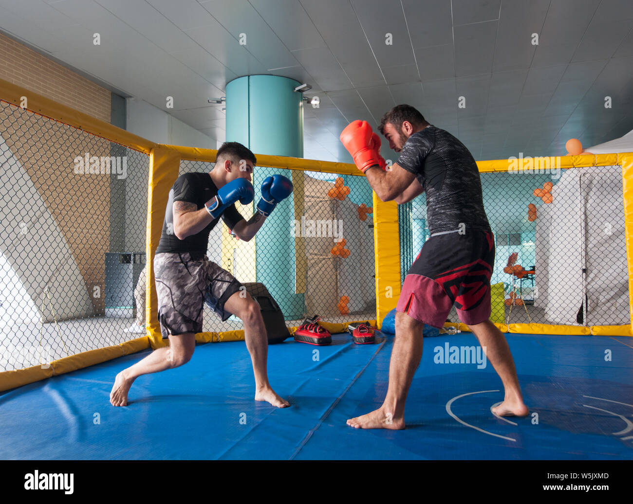 Deux jeunes boxeurs professionnels se battent sur le ring Banque D'Images