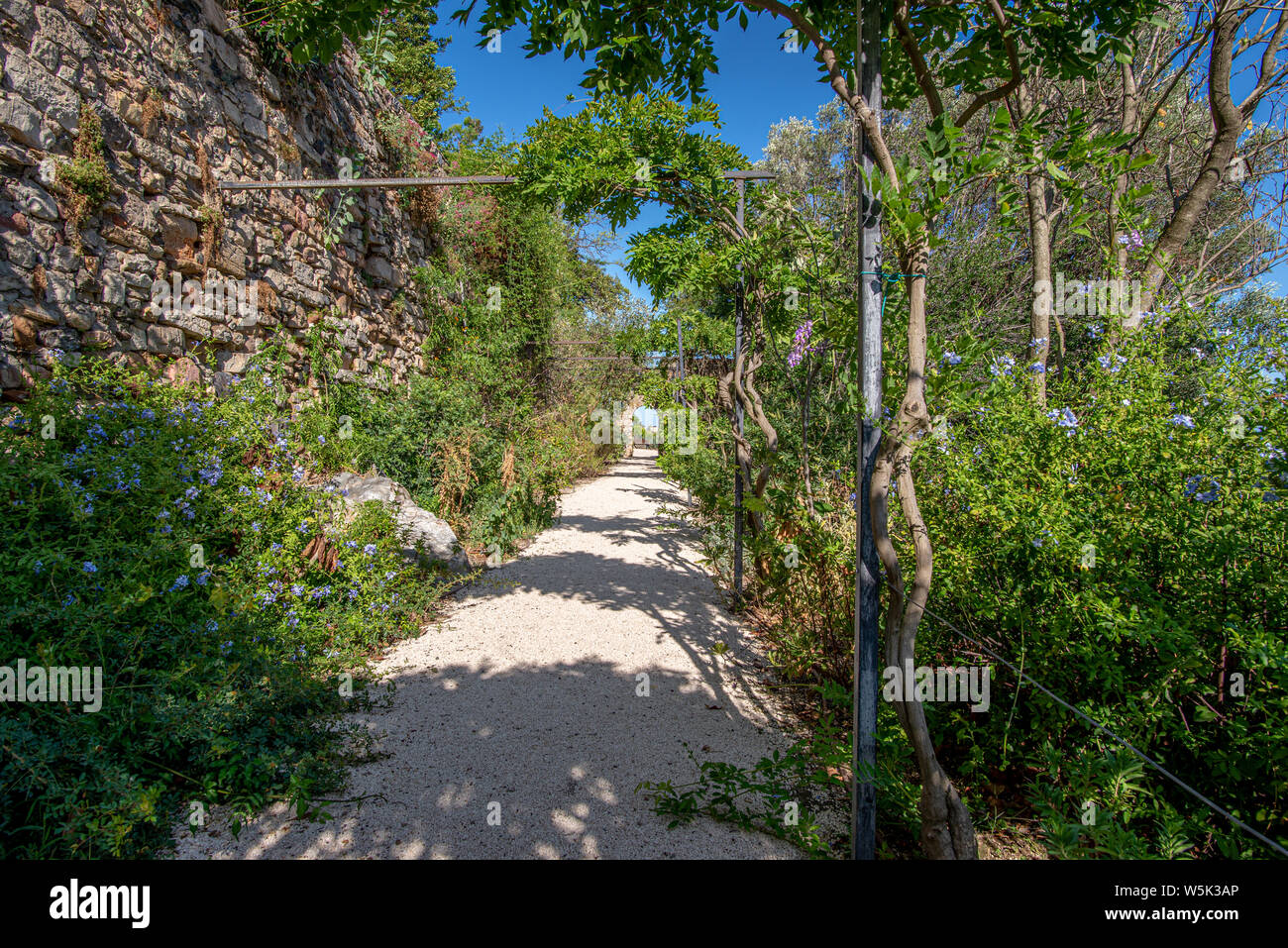 Sentier rectiligne et mur de pierre dans un jardin de plantes méditerranéennes en Provence, France Banque D'Images