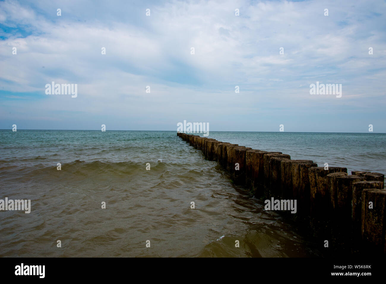 Bois épis à fischland darß--péninsule de Zingst, mer Baltique, Allemagne Banque D'Images