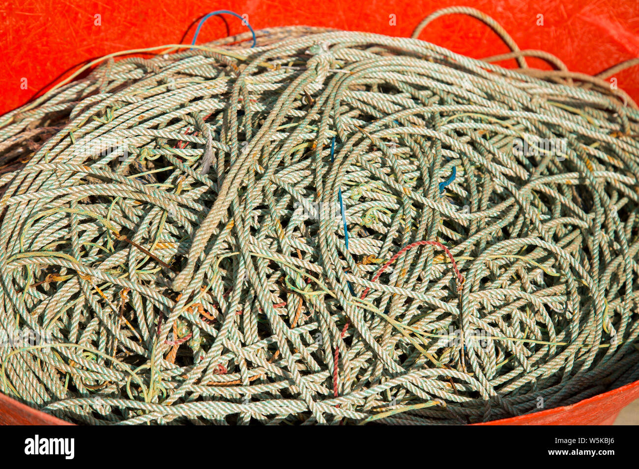 Une cuve en plastique rouge rempli d'une corde emmêlées Banque D'Images