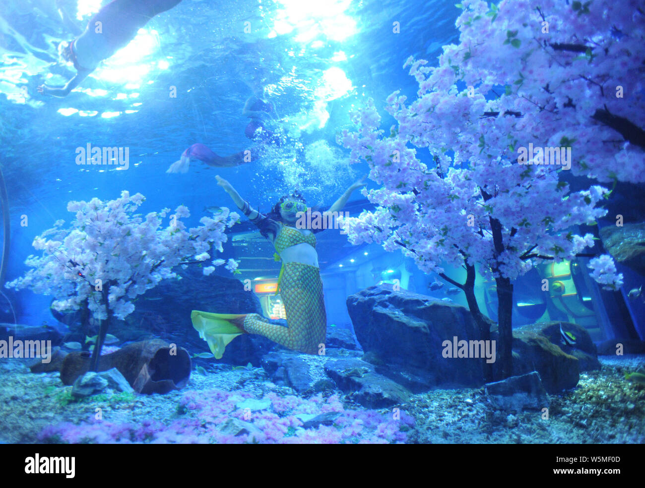 Les visiteurs plongeurs dans l'ensemble de la scène costumes mermaid cherry blossom à la sous-marine Haichang Polar Ocean Park à Wuhan, centre de Menton Banque D'Images