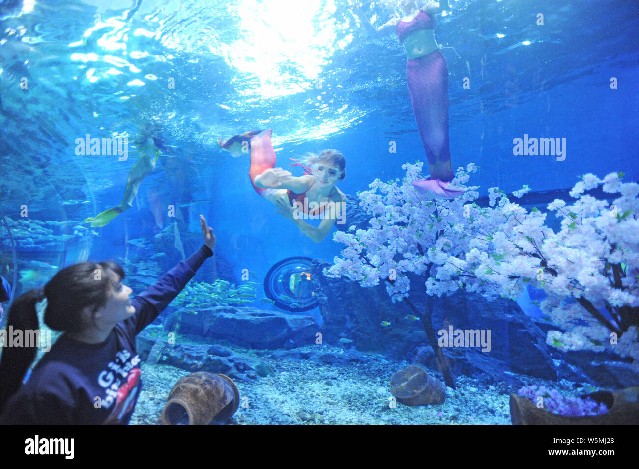 Les visiteurs plongeurs dans l'ensemble de la scène costumes mermaid cherry blossom à la sous-marine Haichang Polar Ocean Park à Wuhan, centre de Menton Banque D'Images