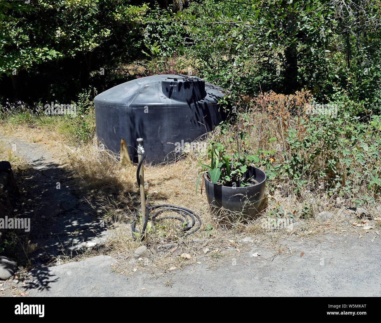 Robinet d'arrosage dans le jardin du ruisseau à sec Union City, Californie Banque D'Images