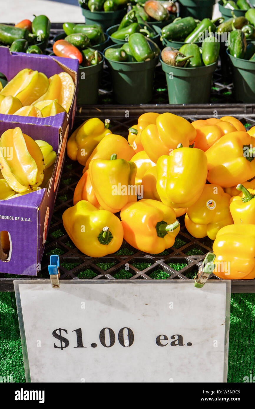 West Palm Beach Florida,Greenmarket,Green Farmers Market,Farmer's,Farmers's,vendor vendeurs,stall stalles stand vendor marché marketplac Banque D'Images