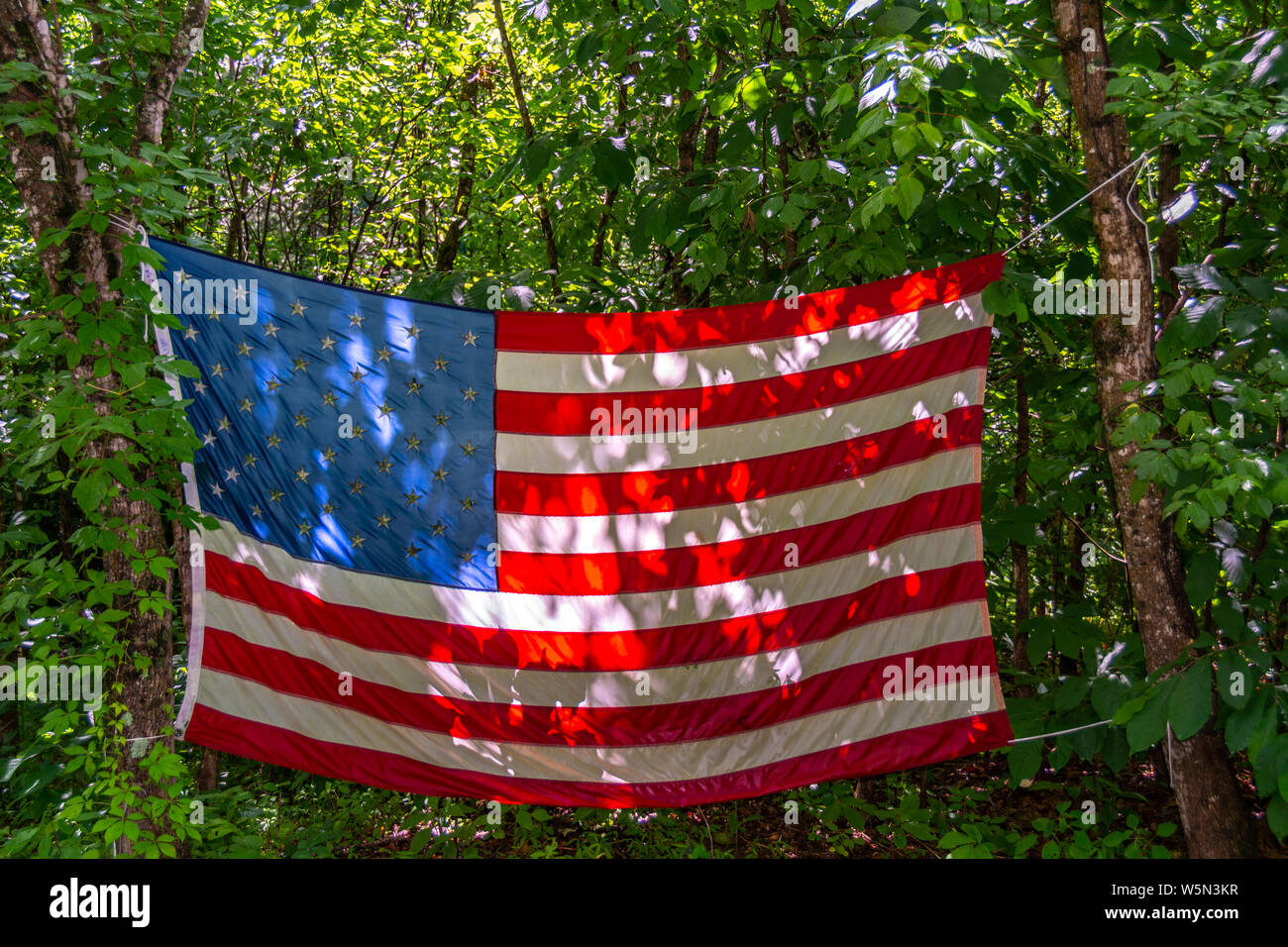 Drapeau américain affiché en étant accroché sur les arbres dans un camping Banque D'Images