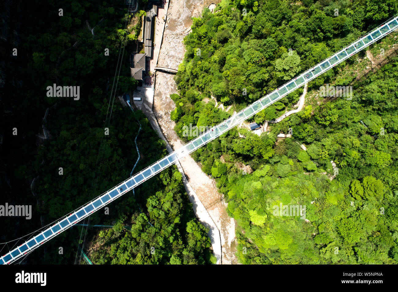 Les touristes à pied sur un 330 mètres de long pont suspendu à fond de verre sur une vallée durant les quatre jours de la fête du Travail dans le comté de Zigui, Yichang city, Banque D'Images