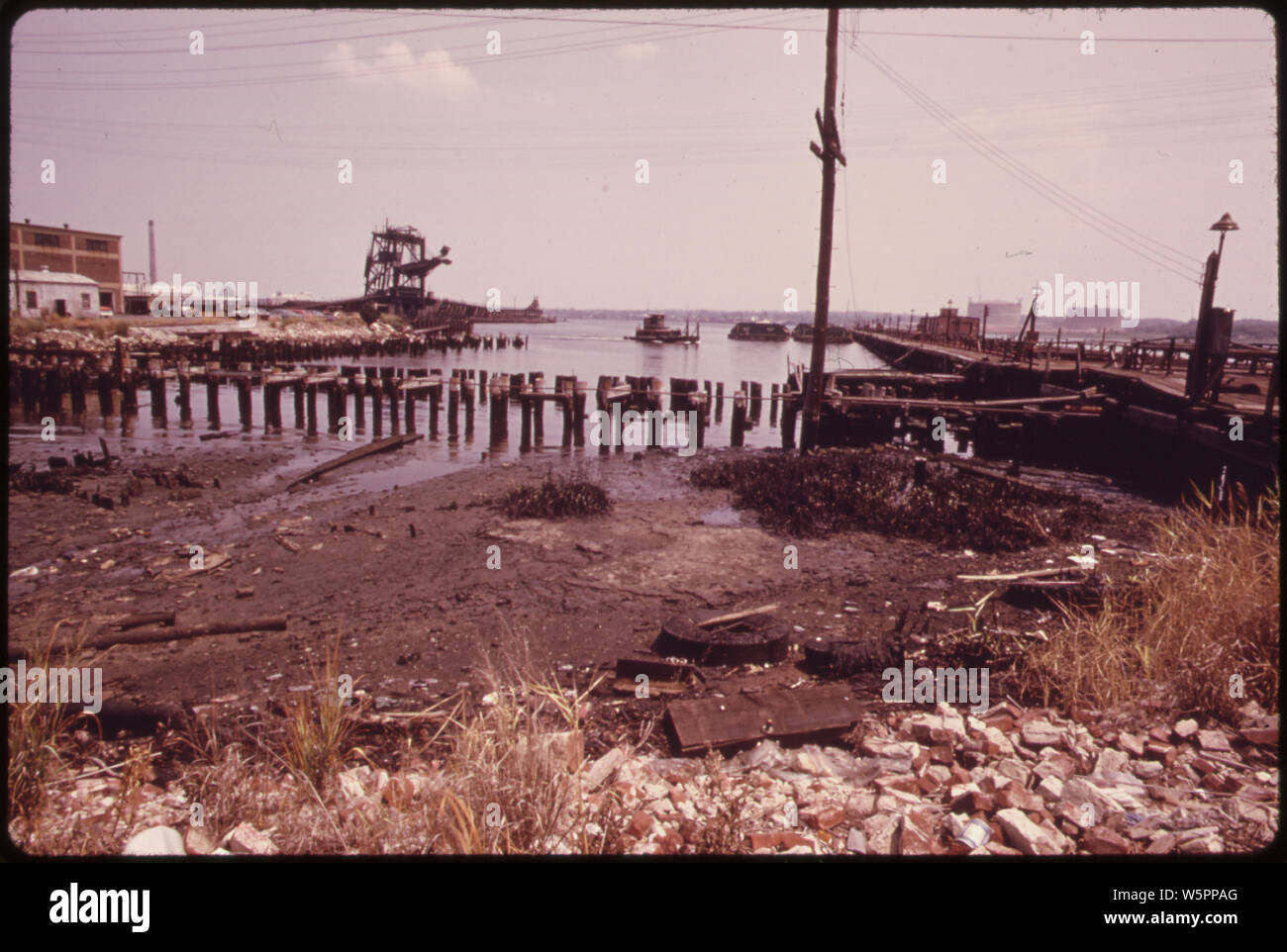 Marée basse sur l'ARTHUR KILL RÉVÈLE DES DÉVERSEMENTS DE PÉTROLE SUR L'HERBE DES MARAIS AU PORT READING COAL YARD Banque D'Images