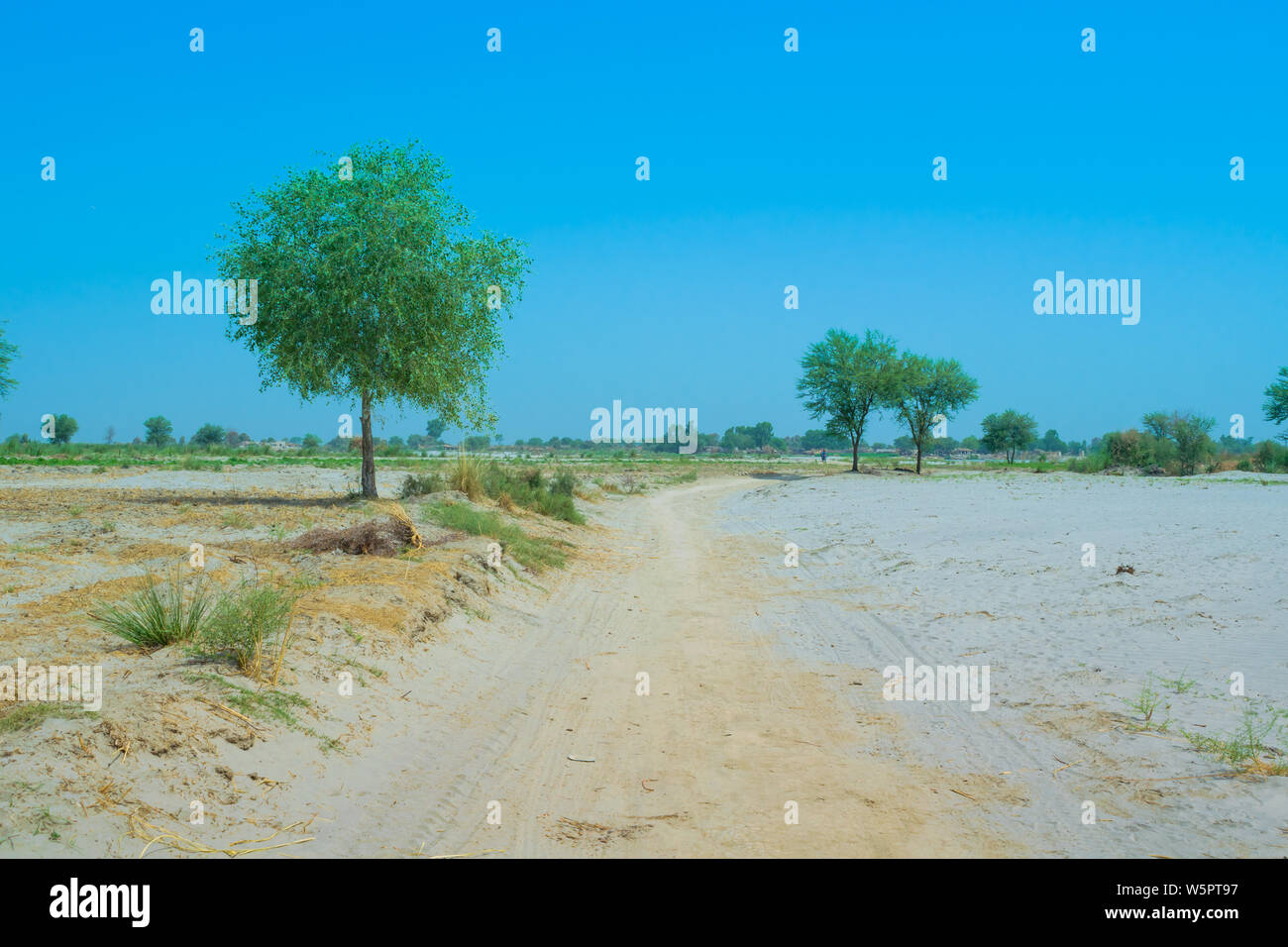 Image paysage d'une région désertique dans le Punjab,le Pakistan,fond de ciel bleu. Banque D'Images