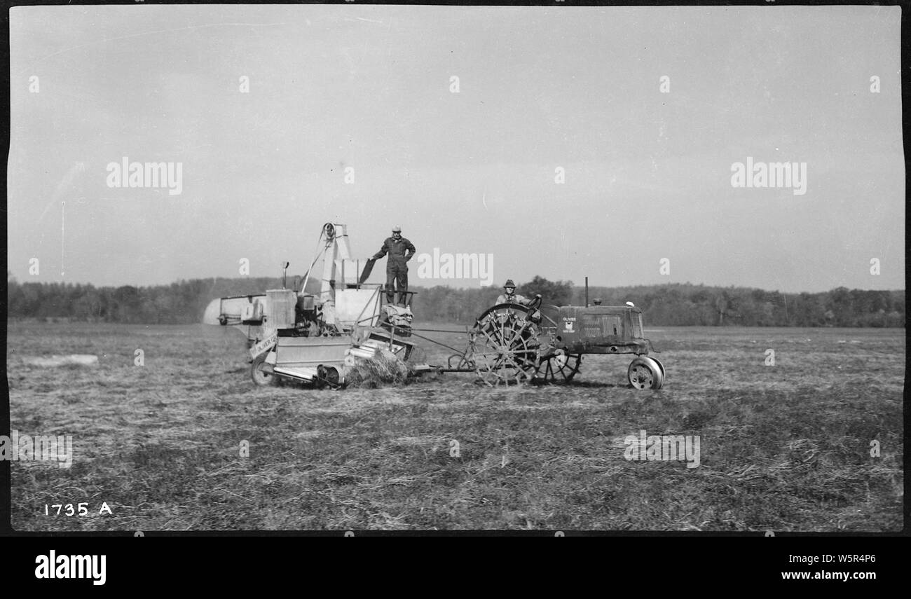 Ferme de lien, harvetsing semences Lespedeza Banque D'Images