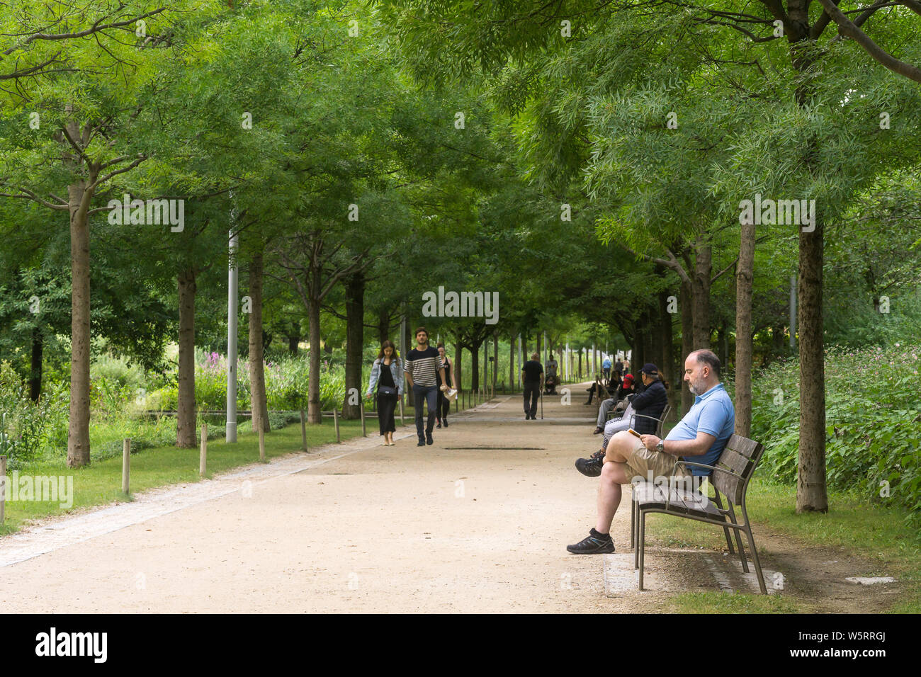 Paris parc Martin Luther King - un espace vert dans l'Éco-quartier de Paris Clichy-Batignolles dans le 17e arrondissement. La France, l'Europe. Banque D'Images