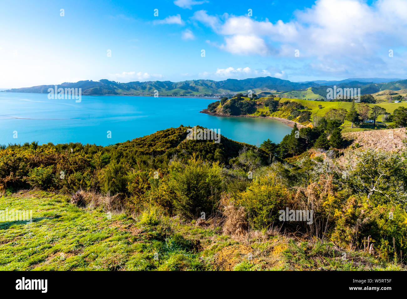 Waitawa Regional Park, New Zealand Banque D'Images