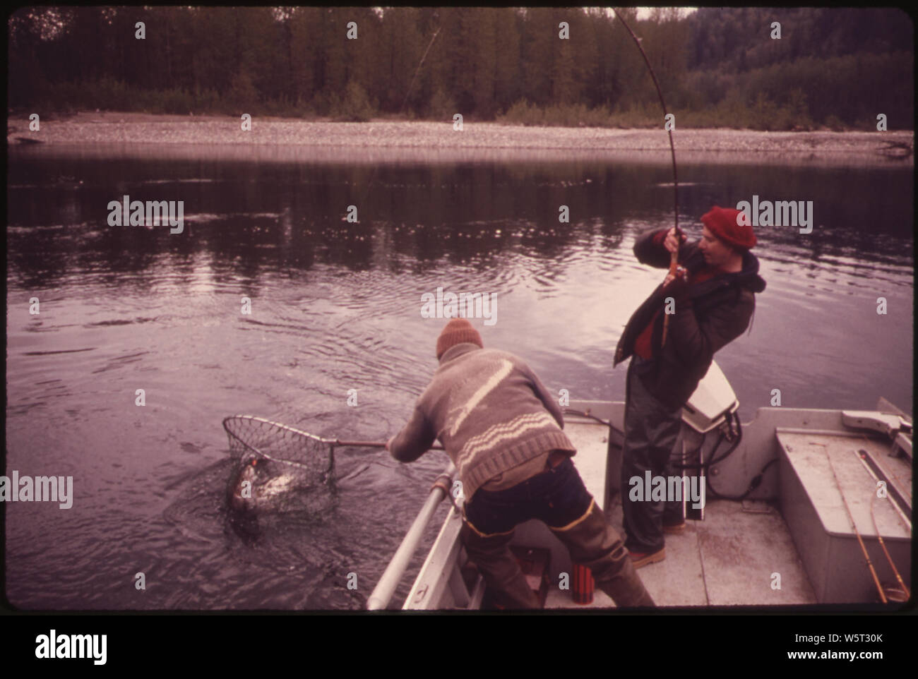 Sur la rivière Skagit PRÈS DE BÉTON, DAN DUDLEY DE BELLEVUE JOUE UN 19 ! La TRUITE À TÊTE D'ACIER LIVRE COMME GUIDE KERRY DUVALL GÈRE LE NET. Le Skagit est l'une des plus belles rivières à truites arc-en-ciel dans l'Etat et attire des milliers de pêcheurs sportifs CHAQUE ANNÉE Banque D'Images