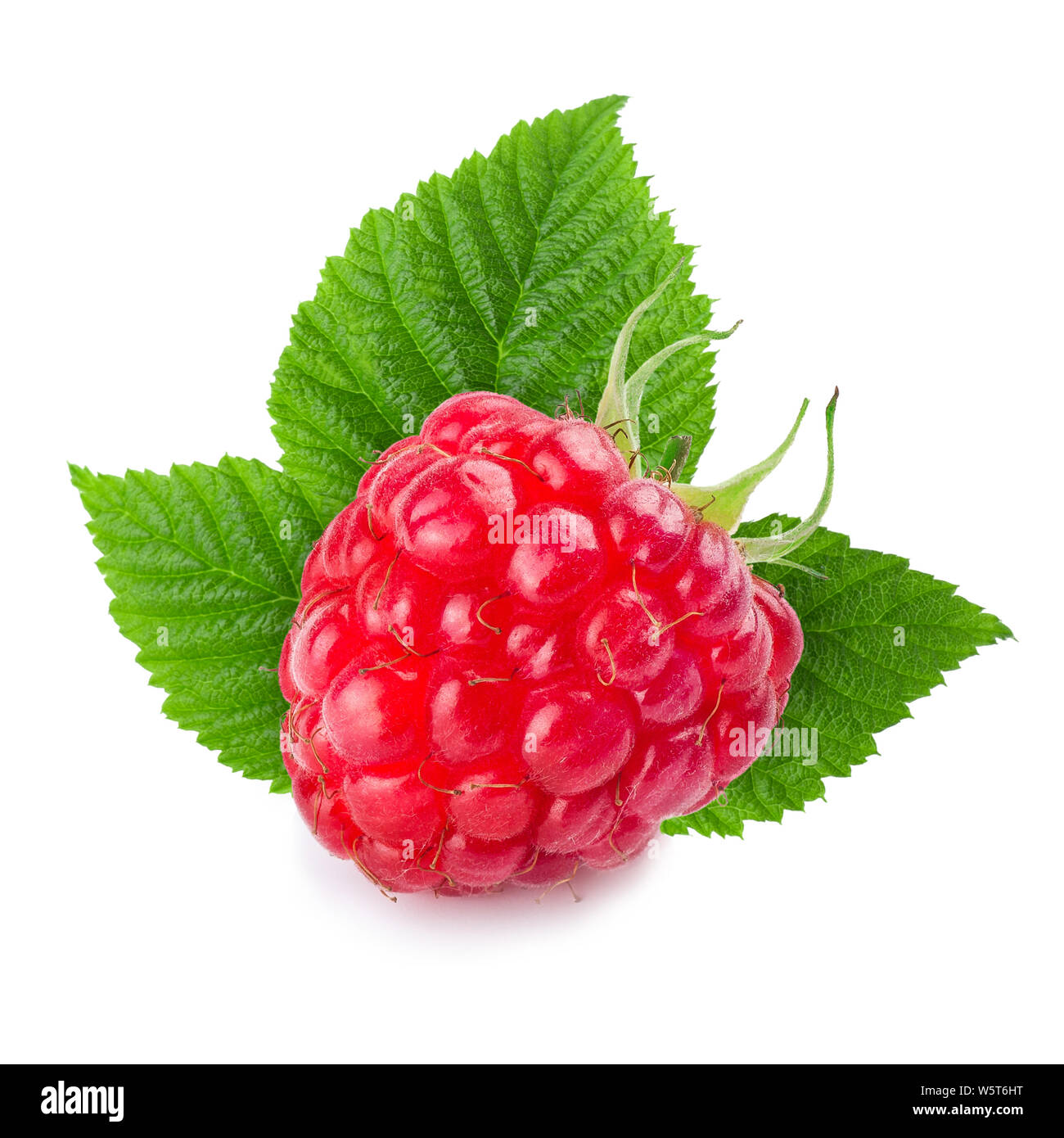 Raspberry isolated on white Banque D'Images