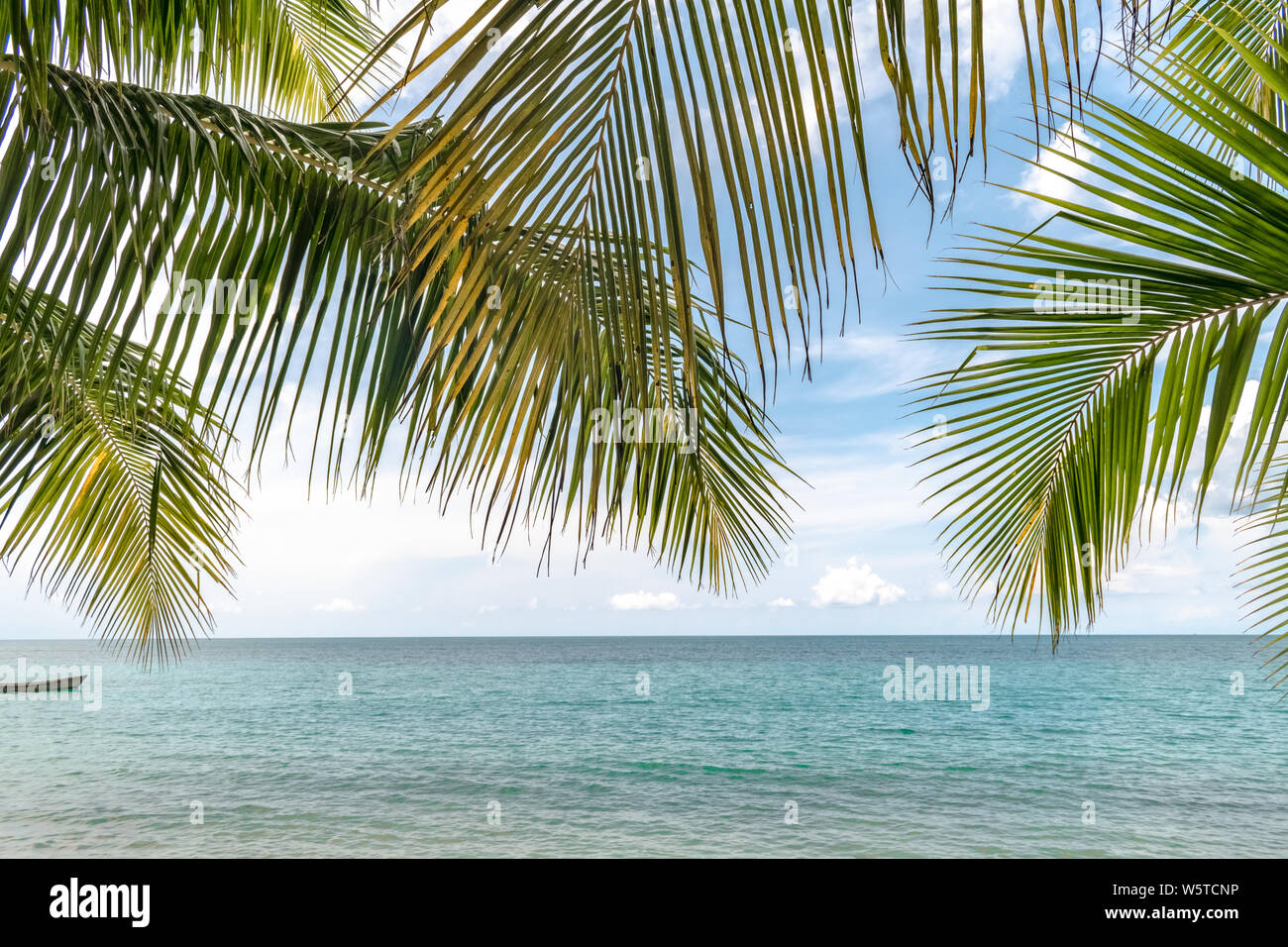 Tropical pittoresque île côtière avec de l'eau turquoise le long de la plage entouré de cocotiers. Les vacances de rêve parfait de l'Asie du Sud. Banque D'Images