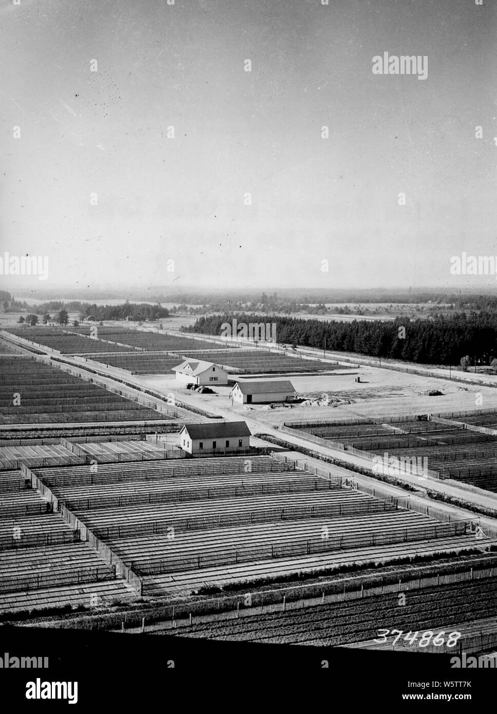 Photographie d'Lydick pépinière à Cass Lake ; Portée et contenu : sous-titre original : Lydick pépinière à Cass Lake prises de tour à feu. Banque D'Images
