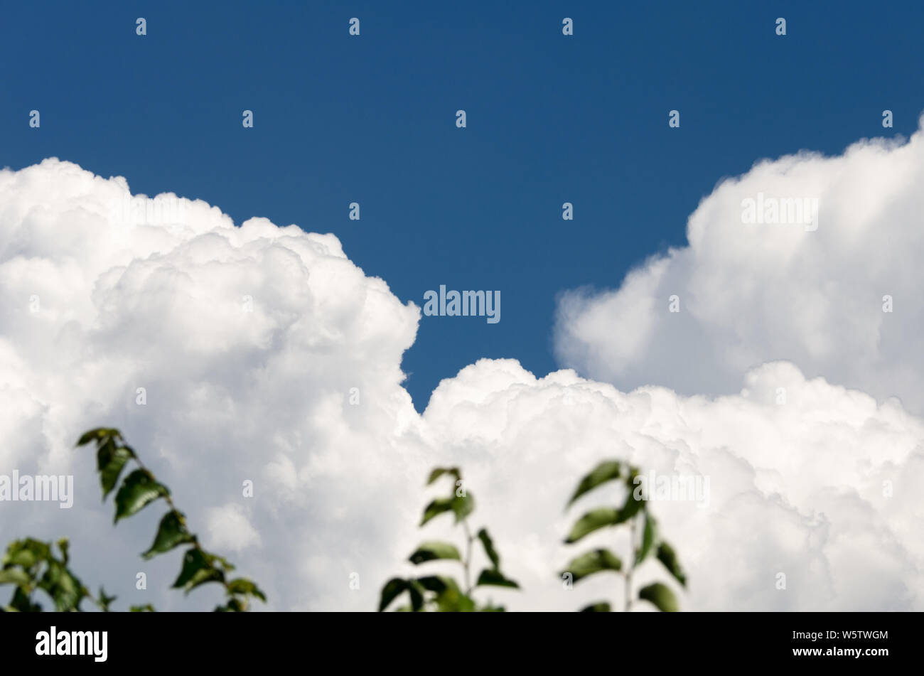 Les nuages blancs dans le ciel bleu, la beauté de la nature Banque D'Images