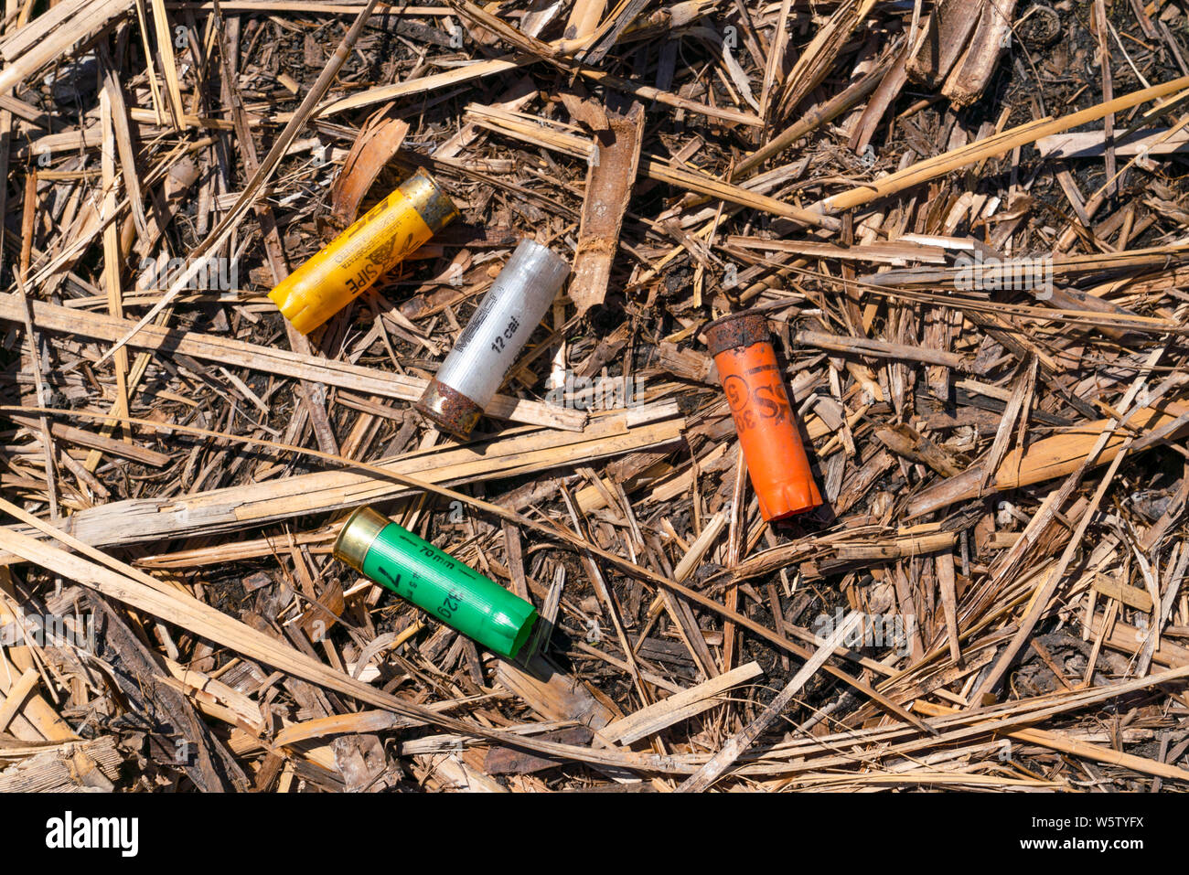 Cay, Afyonkarahisar/Turkey-June 30 2019 : les douilles de cartouches vides sur sol sec reedy juste près du lac Eymir après duck hunt. Banque D'Images
