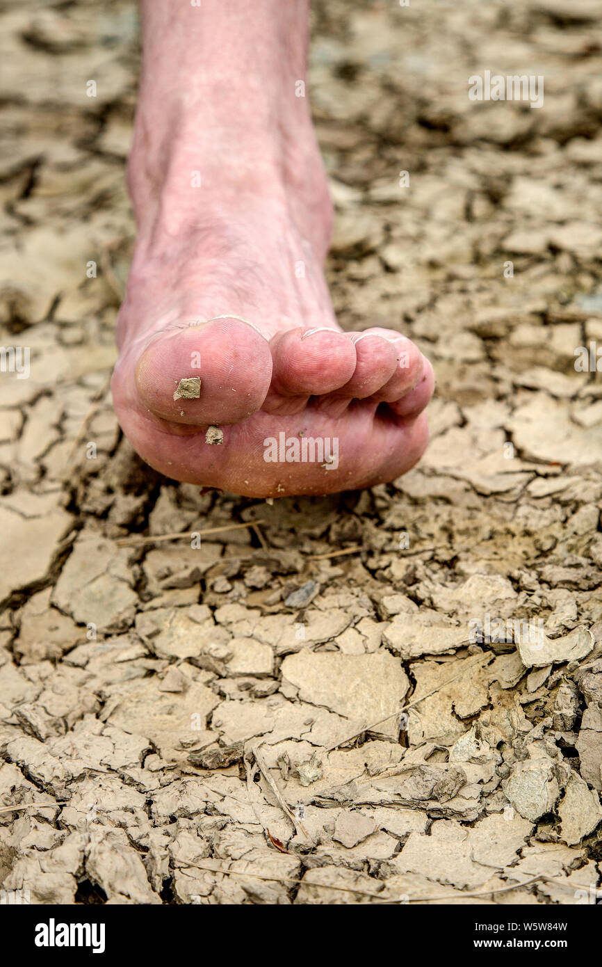 Le pied sur le sol desséché. L'empreinte écologique de la part de lourds dégâts sur notre terre. Banque D'Images