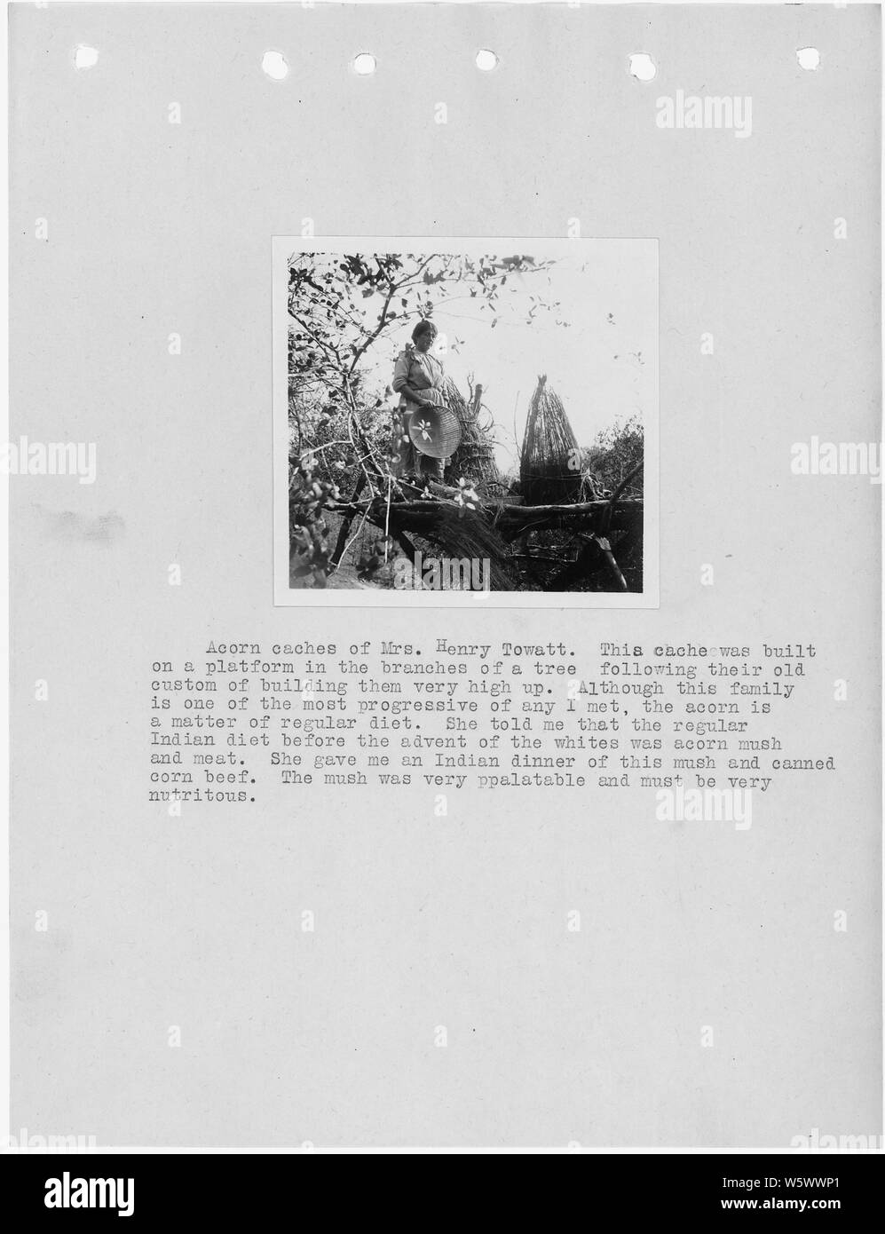 Photographie avec texte de caches d'acorn Mme Henry Towatt, en Californie. Il s'agit d'un rapport d'enquête de Fresno et les comtés de Madera par L.D. Creel. Banque D'Images