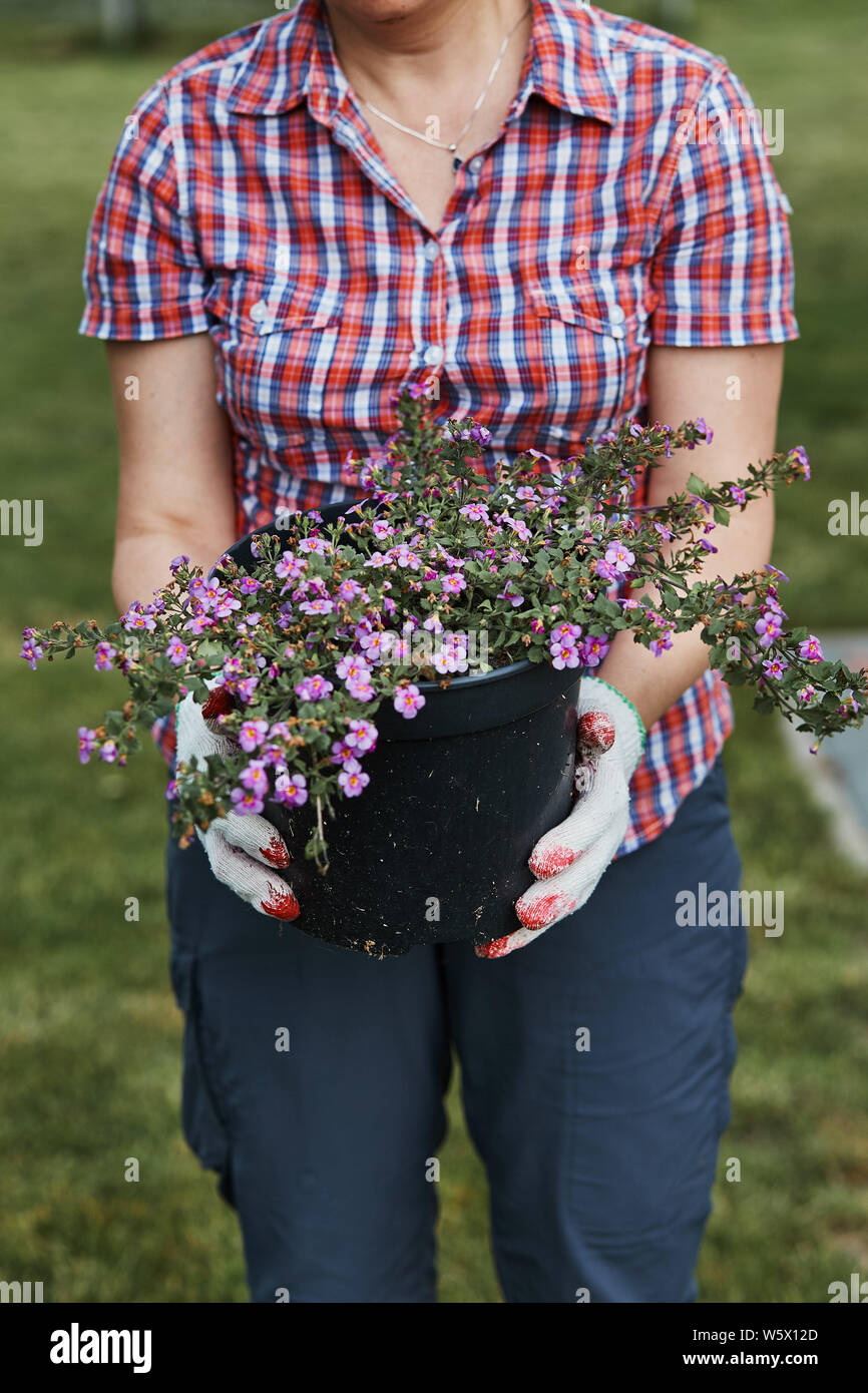 Femme tenant un pot de fleurs avec des fleurs qui travaillent dans le jardin. Les gens sincères, vrais moments, situations authentiques Banque D'Images